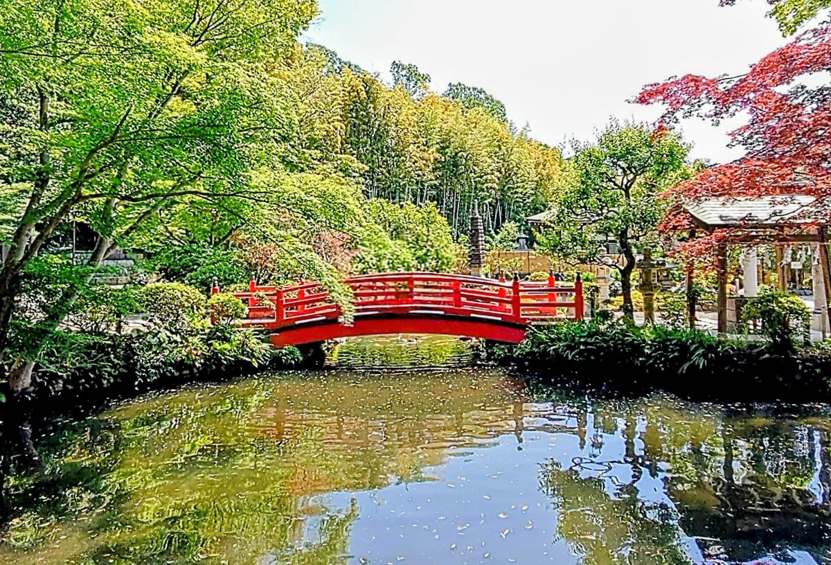 ts19780322's tweet photo. 東京都小金井市⛩️貫井神社

『貫井町　総鎮守』

安土桃山時代に水神様を祀り創建したのが起源され池ノ上の下弁天に対して『上弁天·貫井弁財天』と呼ばれ『東京都名湧水五十七選』の一つに選ばれた湧水を有し『小金井（黄金井）の地名発祥』と伝わる神社です。

御祭神:市杵島姫命、大己貴命 https://t.co/uqtX5NsSz3