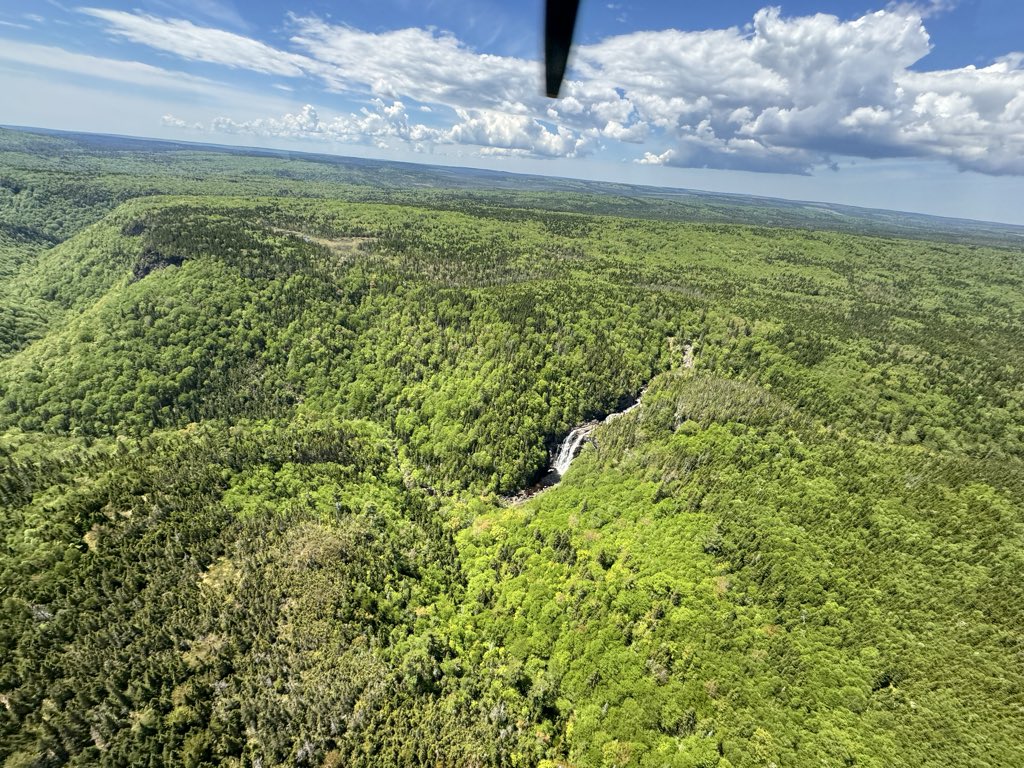 CryptoNDN's tweet photo. Went flying today! 🚁☀️ https://t.co/Q7vVmnubHM