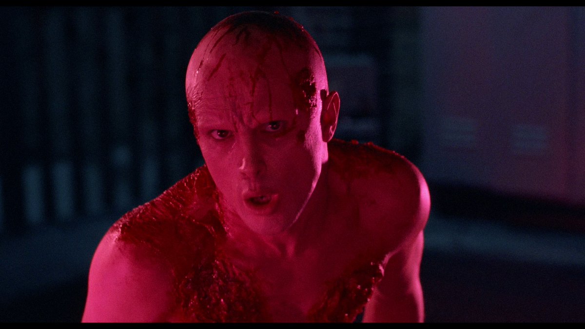 letterbub's tweet photo. What is your favourite horror decade? I can't decide between the 70s and 80s https://t.co/Pp3XWR3LZd