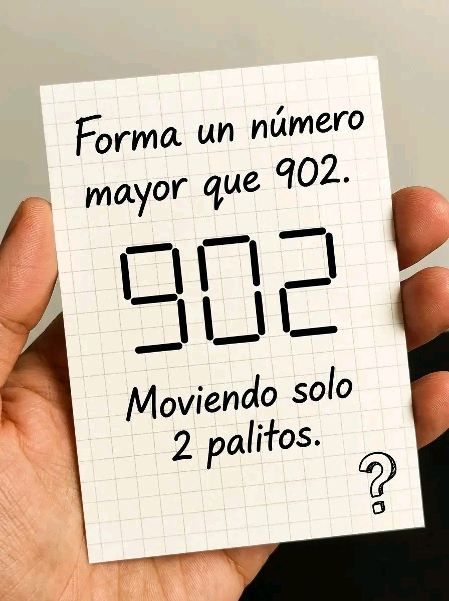 Suricato 💎 tweet media