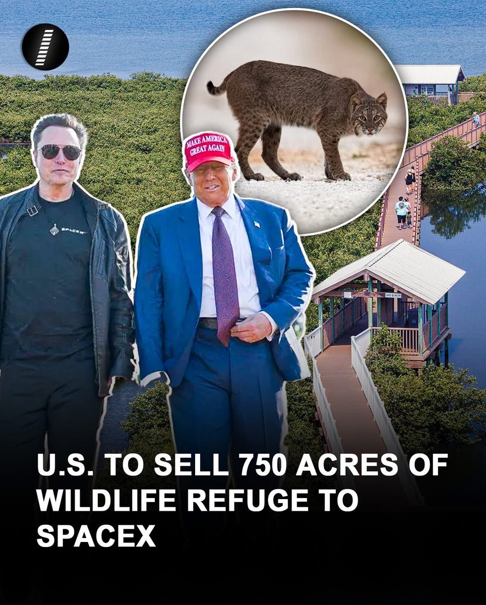 domdyer70's tweet photo. A high-profile environmental showdown has erupted in south Texas as tribal networks and conservation groups filed a federal lawsuit against the U.S. Fish and Wildlife Service. The legal action seeks to immediately halt a massive, controversial land swap that would hand over 715 acres of the protected Lower Rio Grande Valley National Wildlife Refuge to Elon Musk’s SpaceX. Plaintiffs argue the transaction explicitly violates federal laws requiring a net conservation benefit, pointing out that the state is trading away pristine, biologically diverse refuge land in exchange for a smaller footprint of private acreage that has already been degraded by rocket launch debris.
#SpaceXLawsuit #WildlifeRefuge #SaveTheRioGrande #EnvironmentalJustice #TexasNews