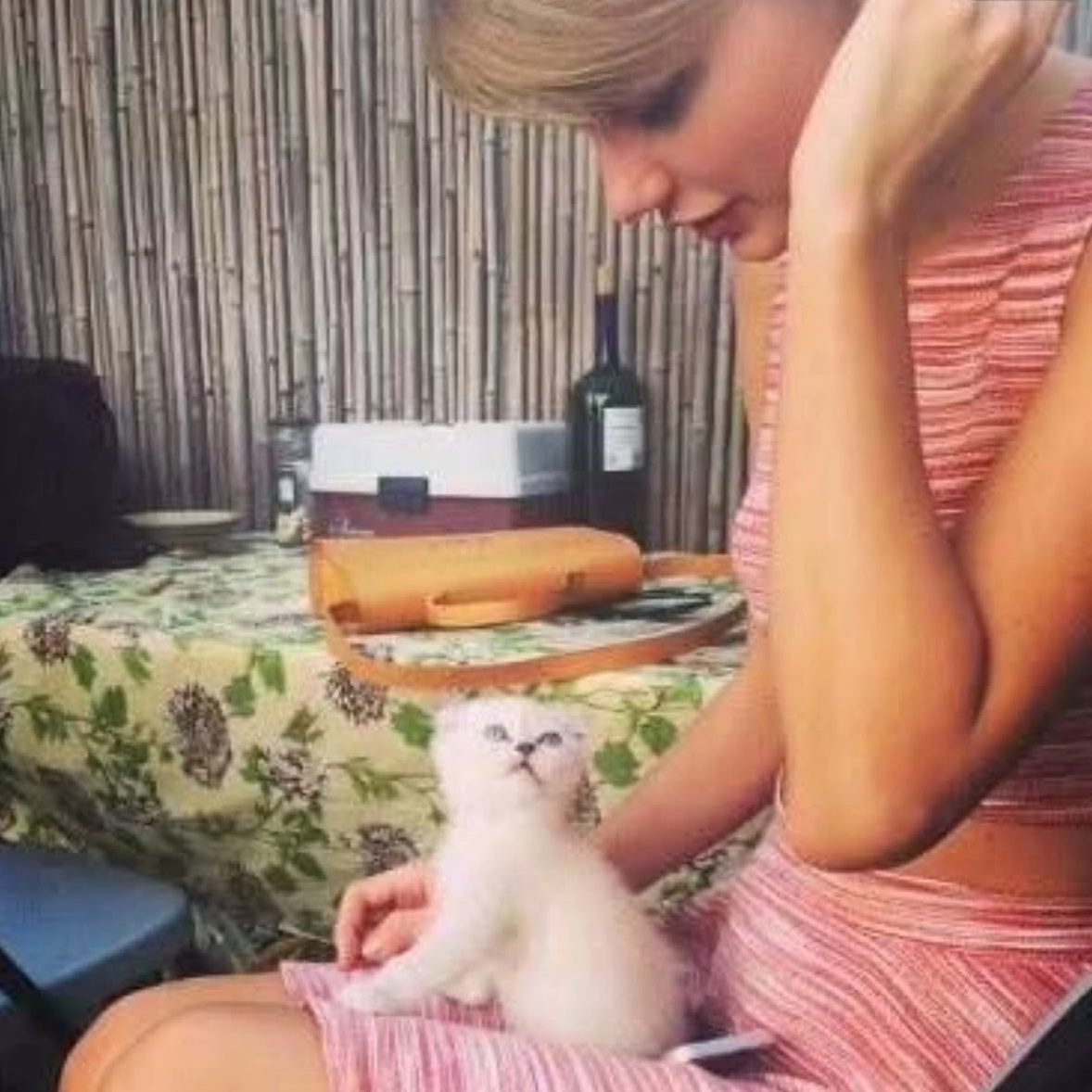theTSupdates's tweet photo. 🔙| 12 years ago today, Taylor Swift via IG:

“meet Olivia Benson” https://t.co/r7xsf1nbBs