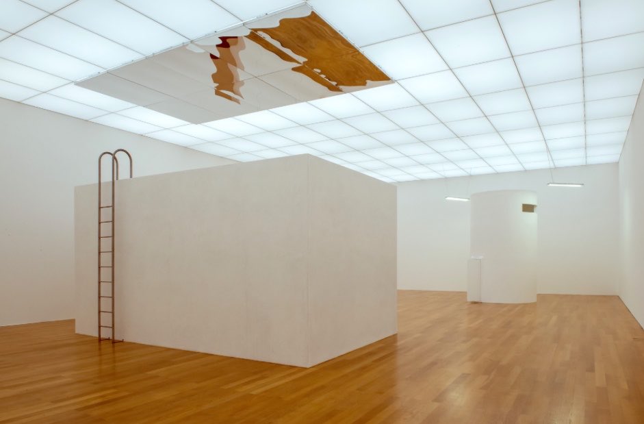 parmida_rezai's tweet photo. The Inverted Pool, Nazgol Ansarinia, 2019-2022. Fænomenalt.
https://t.co/7cJMsbdFSN https://t.co/K7hT1rqLds