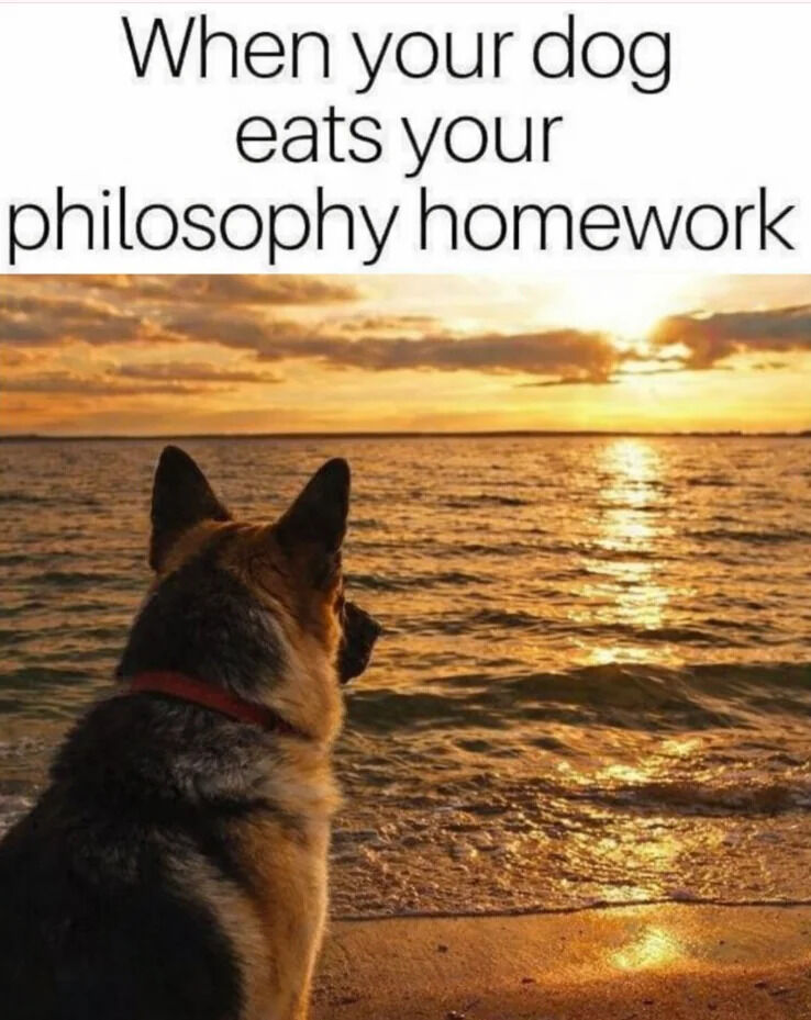 WholesomeMeme's tweet photo. https://t.co/ws18mQGLHC