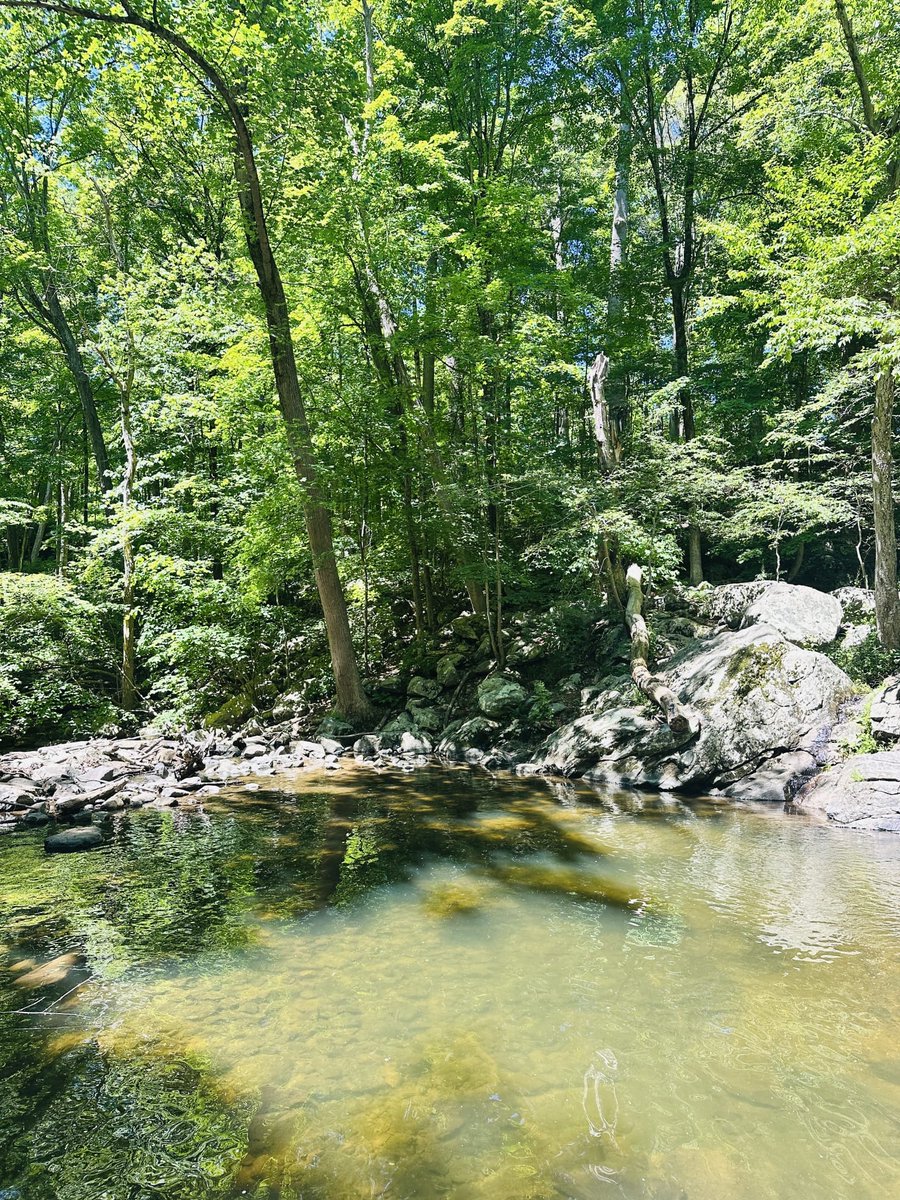 rollinghillsrc's tweet photo. 🌱🌳 Mindfulness in nature at Rolling Hills Recovery Center, mindfulness walks become part structure, participation, and healthier habits support recovery.
.
.
#RollingHillsRecoveryCenter #Mindfulness #NatureWalk #AddictionRecovery https://t.co/I2P7BbGoZv