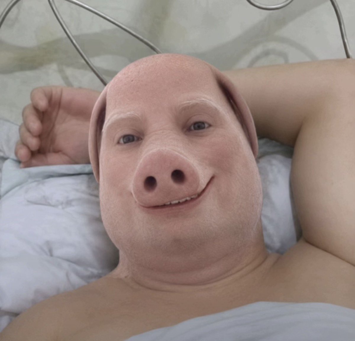 NoahSousa's tweet photo. @Yennii56 U should be bullish on John $pork too

73jj6SFe9FKn6qqpaGwbSd7TL1sHheh3HqDo9RwA7BHB https://t.co/IU2uDYOIcG