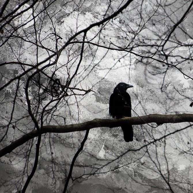 Dark. tweet media