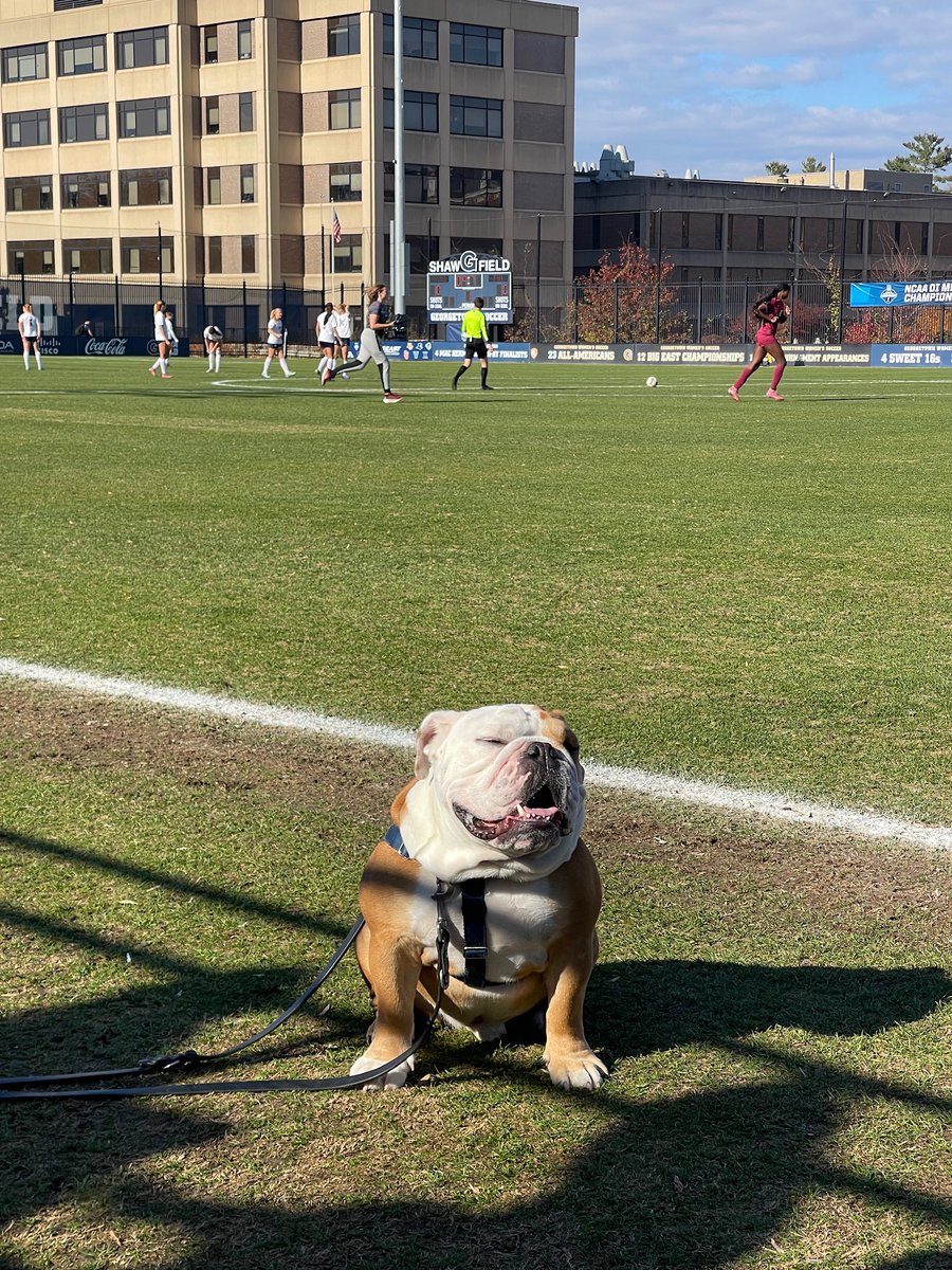 GeorgetownJack tweet picture