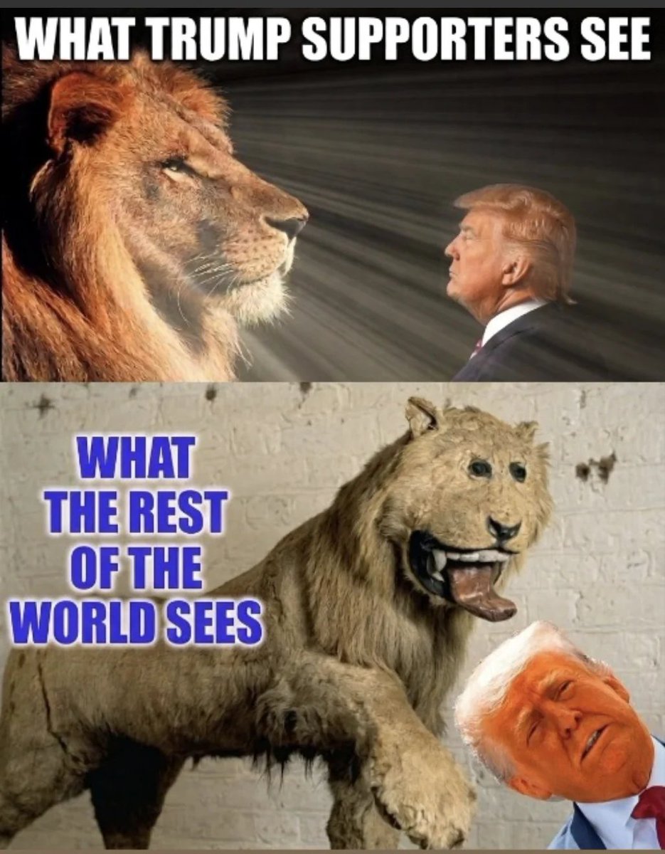 Anonymous tweet media
