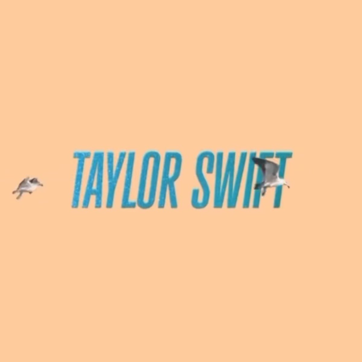 The Taylor Swift Updates tweet media