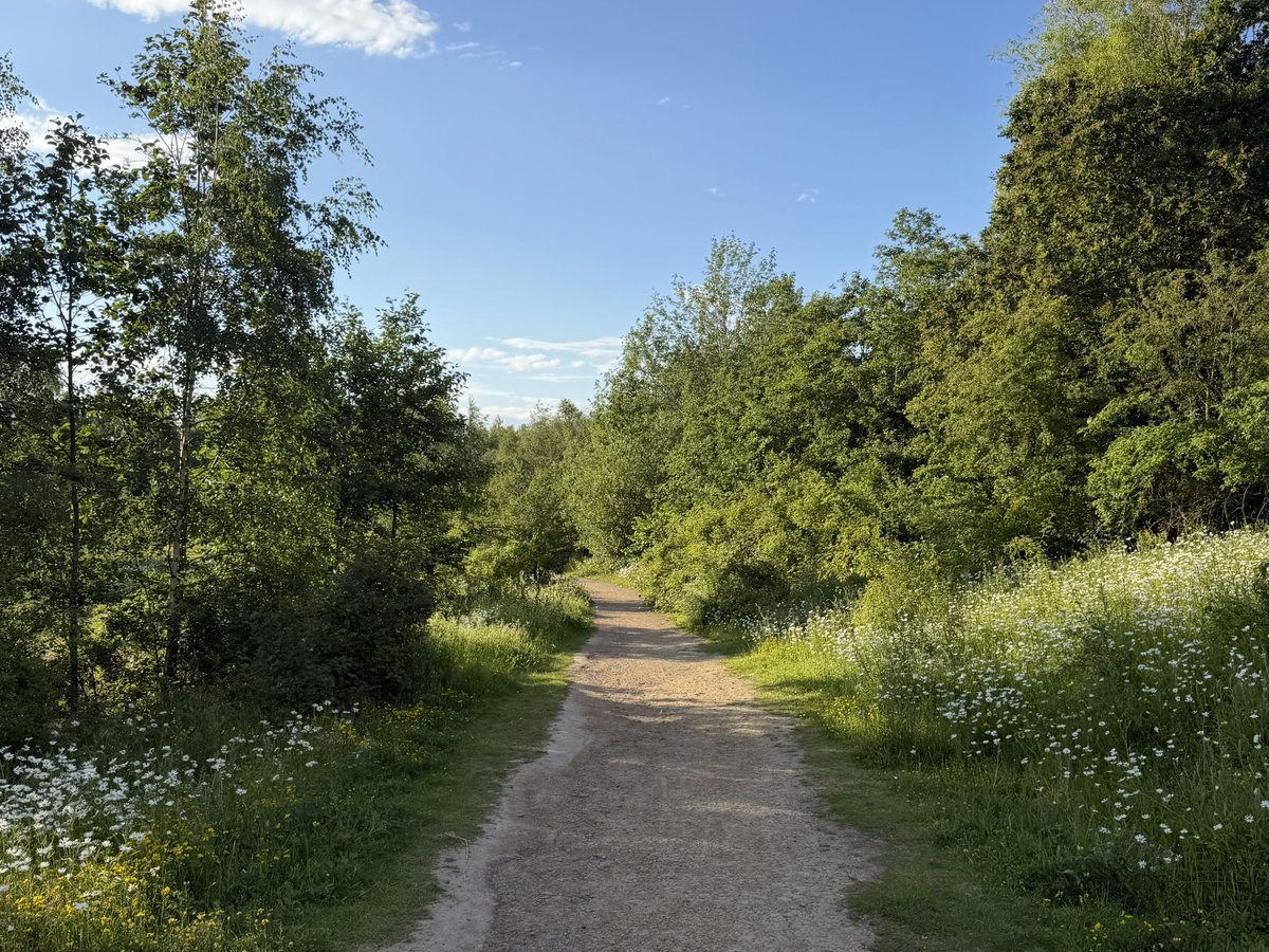 hikingshawty's tweet photo. today i walked five miles and i had bolognese for dinner ☀️ https://t.co/SniEuOfq2M