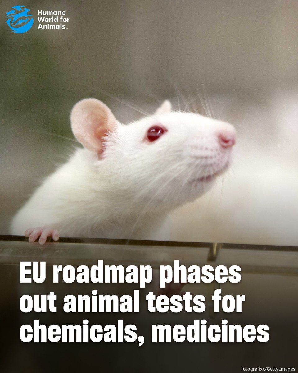 Humane World for Animals tweet media