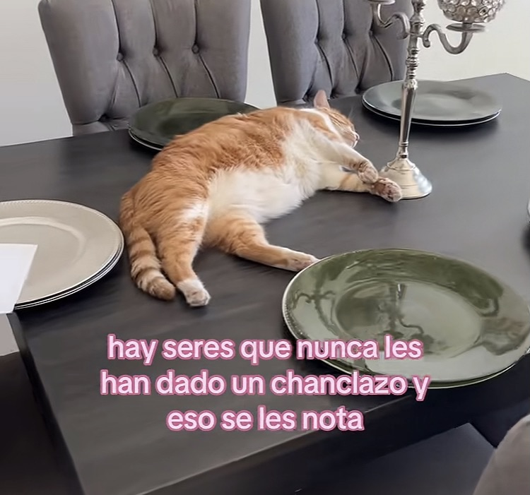 Rincón Curioso tweet media