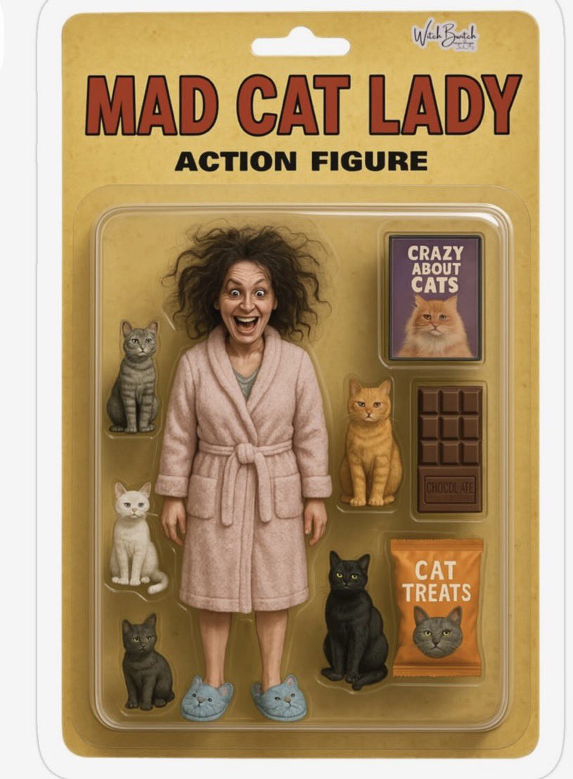 Cat Tribunal tweet media