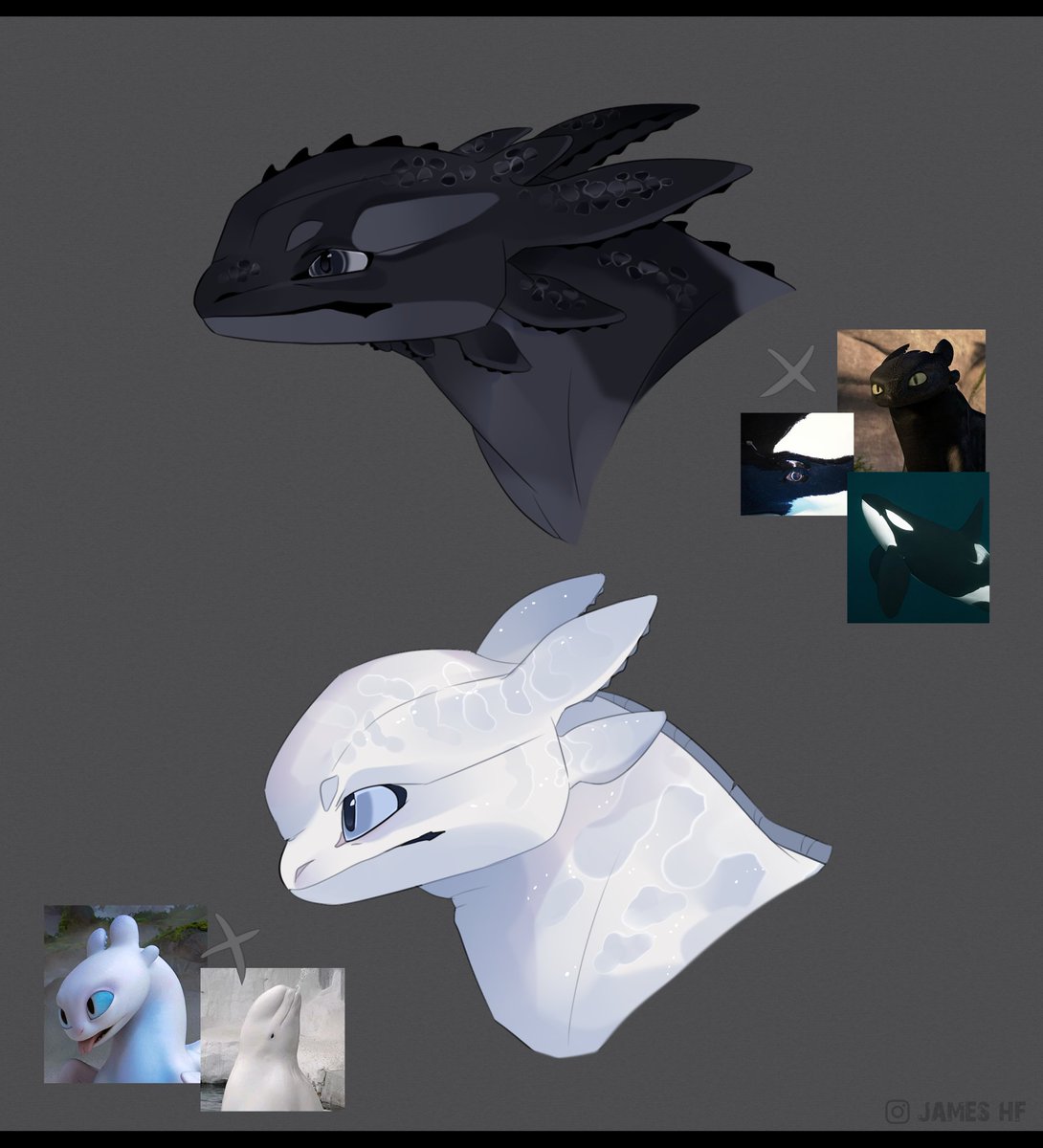 james___hf's tweet photo. Night and light furies in a fusion with orcas and dolphins. It was an interesting experiment

#httyd #howtotrainyourdragon #dragon #nightfury #lightfury #nightlight #design #dragonoc #httydfanart #concept https://t.co/emNU09Azsn