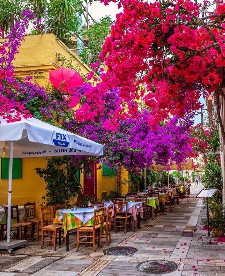 ab_cd_1235's tweet photo. Vibrant Colours of Greece 🇬🇷 https://t.co/baQAYmX92n