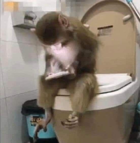 miyarah_'s tweet photo. yo en el baño tuiteando en vez de limpiarme el culo https://t.co/8h8OmeQD90