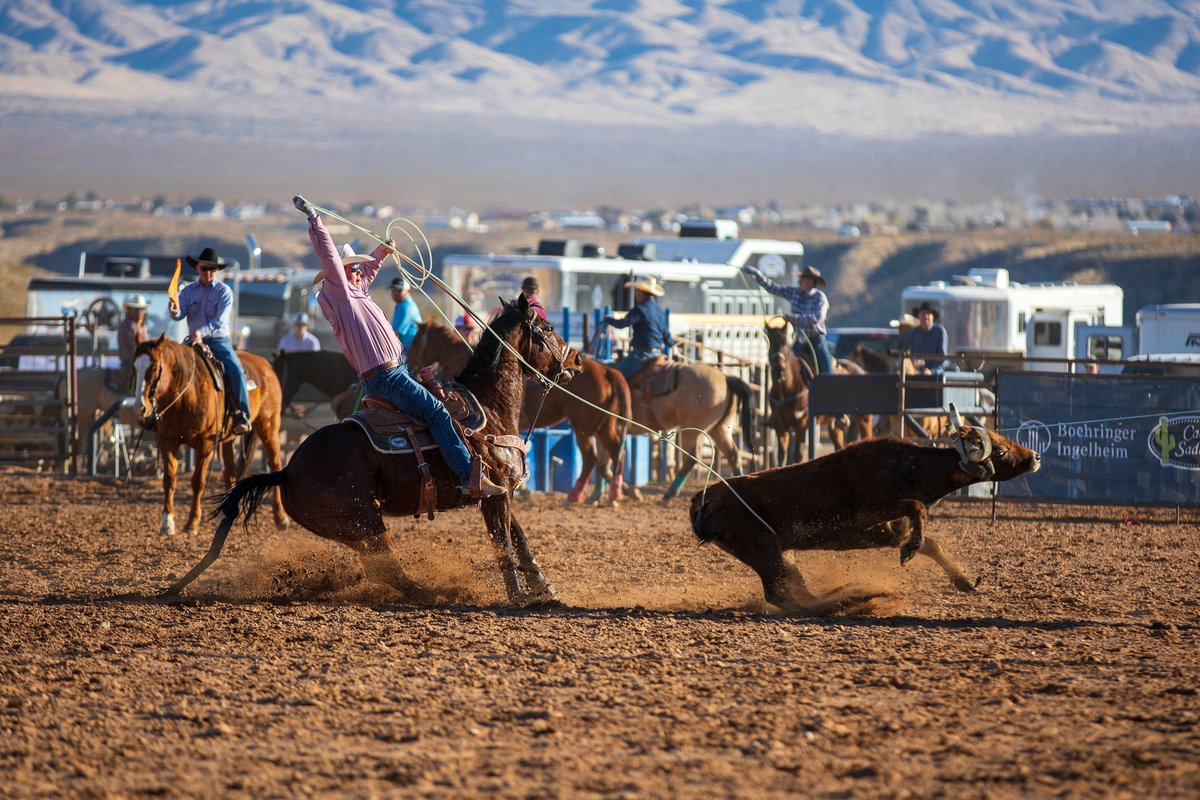 JohnGetchel's tweet photo. Yee haw!!

Let's see your action shots my friends! https://t.co/L7lH77Xuc2