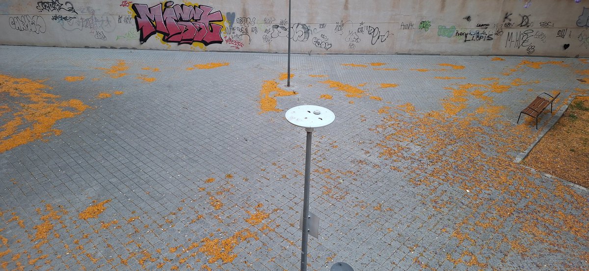 Olayazape's tweet photo. No hemos empezado aún las hogueras y ya por la mañana los contenedores que han puesto llenos.Precintados los contenedores antiguos y quitados los de reciclaje. Limpiais el parking para montar la barraca... Y las calles qué? Es de vergüenza! Zona PAU II @alicanteayto @luisbarcala https://t.co/Dg2sdgawTB