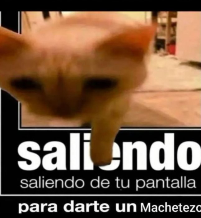 Venaomenso's tweet photo. Hola https://t.co/9GTDRsheGA