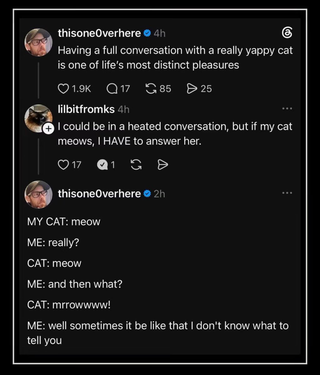 TurnToDust86's tweet photo. Oh, how I miss the conversations with my cat. https://t.co/8AJaYcO9Fu