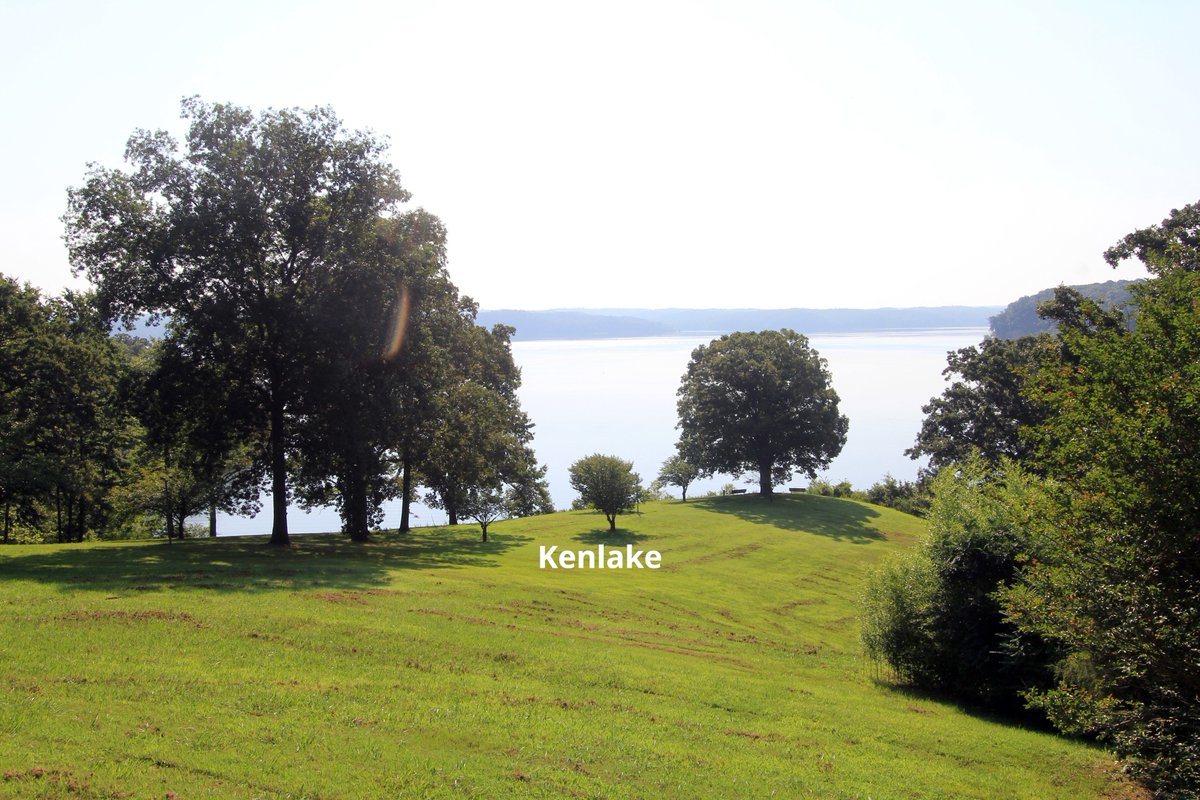 KYStateParks's tweet photo. ⏰ Father's Day weekend is here and we still have a few spots left at: 

• Blue Licks Battlefield State Resort Park 
• Kenlake State Resort Park 

Book your stay and celebrate Dad in the great outdoors! 🌲
🔗 https://t.co/oleFGYLo7h 

#kystateparks #newkyhome https://t.co/Pw8siyifhE