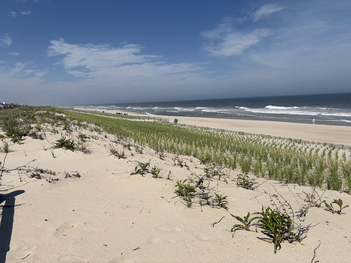 silvrgoat06's tweet photo. 93 on the mainland so I’m cooling off in my favorite spot, Harvey Cedars. #LBI #JerseyShore #ShoretoPlease #Exit63 #BeachLife #SelfCare https://t.co/BRWDiOQure