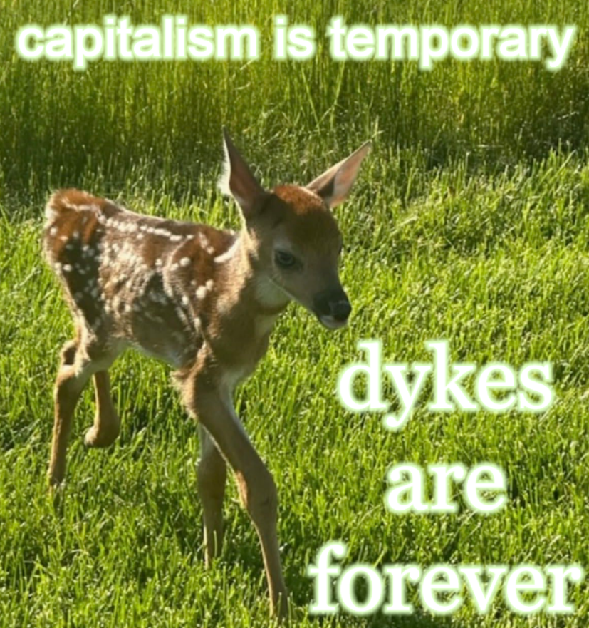 deertexting's tweet photo. https://t.co/MSe8vknowa