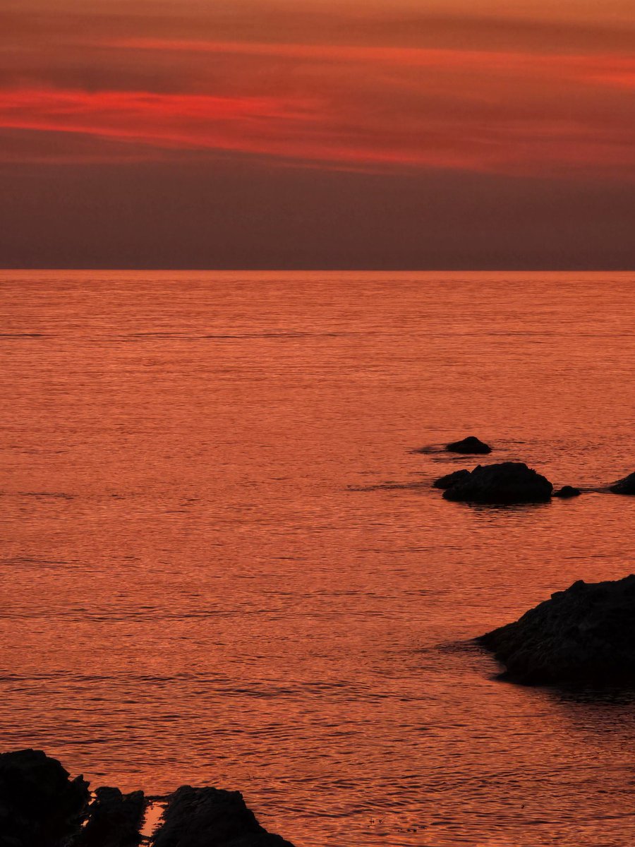 izumo_Communication Four Seasons tweet media