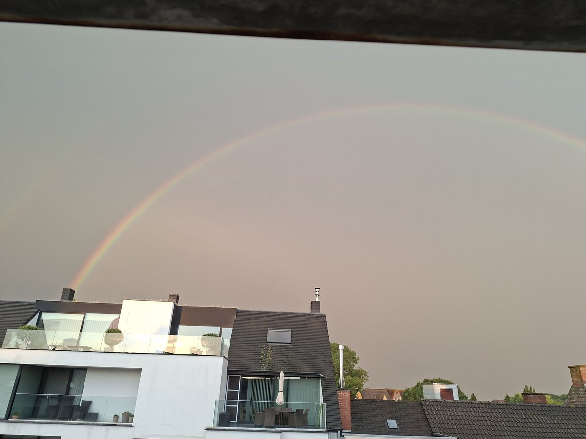 tofke49's tweet photo. https://t.co/jibdUlrWQl