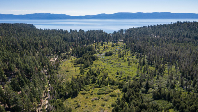LakeTahoeUSFS's tweet photo. Mechanical treatments to remove hazardous fuels and encroaching conifer trees from Mayála Wàťa (Meeks Meadow) are scheduled to resume Monday, June 22, 2026. Link:⬇️Photo by the Washoe Tribe. @CaliforniaTahoe #MayálaWàťa #MeeksMeadow #FuelsReduction #ForestHealth #PartnershipsWork https://t.co/rUOR0xlyon