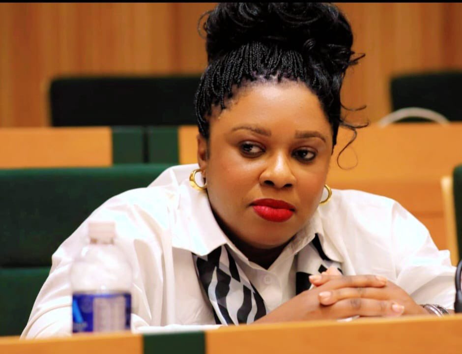 Mathuthu's tweet photo. Meet Minenhle Ntandoyenkosi Gumede, MP Bulawayo North. The only MP out of 12 and the proportional representation group in the province to say NO to constitutional amendment 3. May the people of those listed suburbs remember her https://t.co/oRErDKbHWh