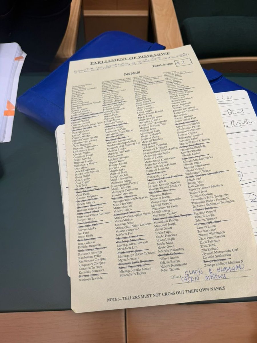 Mathuthu's tweet photo. Meet Minenhle Ntandoyenkosi Gumede, MP Bulawayo North. The only MP out of 12 and the proportional representation group in the province to say NO to constitutional amendment 3. May the people of those listed suburbs remember her https://t.co/oRErDKbHWh