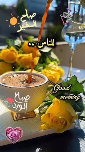 ام فاطمه الشريف tweet media
