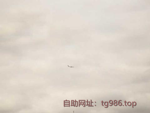 Cansel825083's tweet photo. 海外tg电报telegram账号 电报付费怎么跳过
苹果下载telegram
电报使用说明
纸飞机收不到验证码
电报安装包 电报账号
smsfee短信费 https://t.co/5Z7MhifOvy