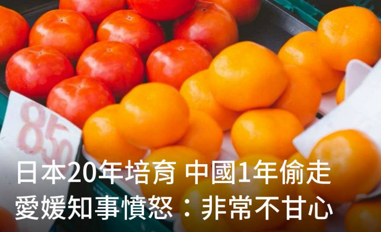 winosaur32286's tweet photo. 這就是中國人呦。
台灣已經吃過超級多悶虧了。
https://t.co/krpmKUydlb https://t.co/jac98lWOhK