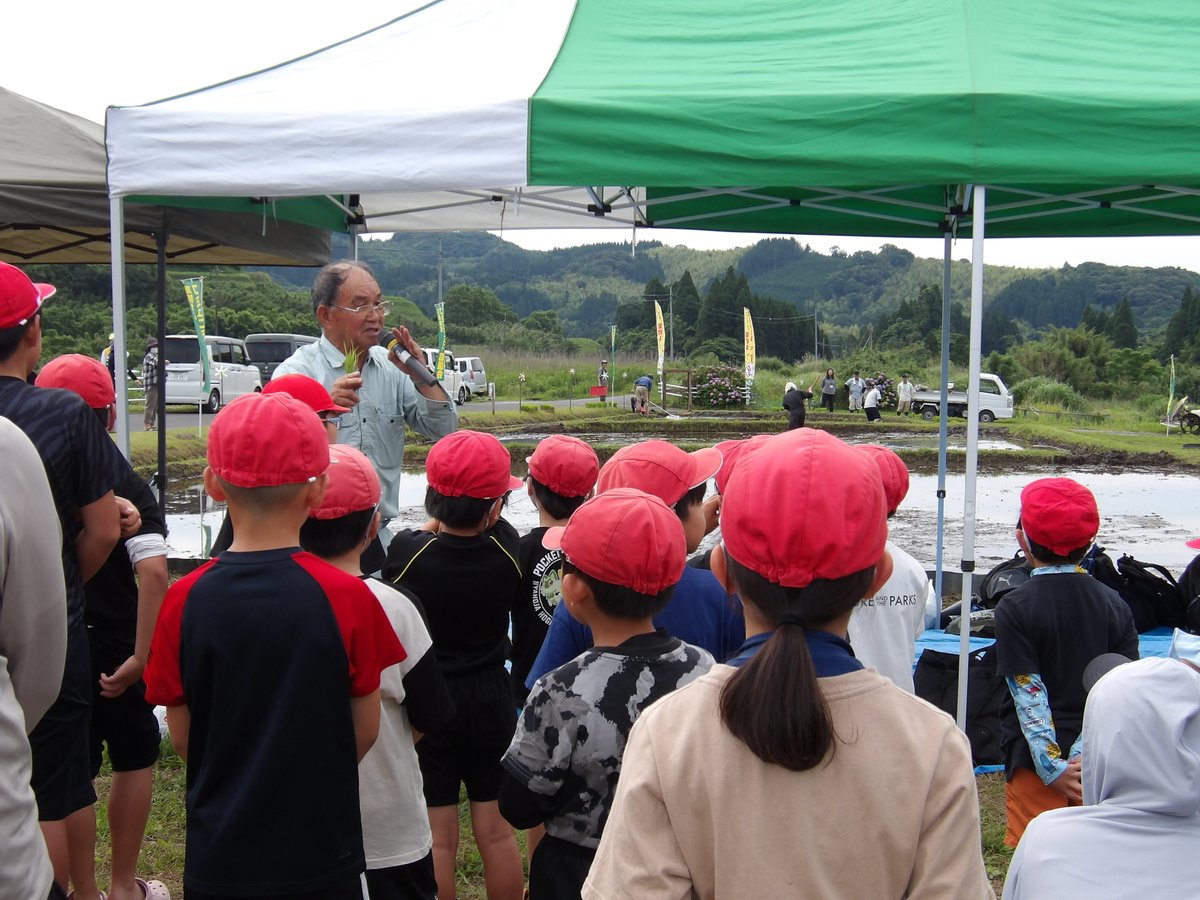 ooguro_esc's tweet photo. 6月13日土曜日に、高隈地区コミュニティ協議会の主催で、田植え体験をさせていただきました。幼保小中みんなが集まり、少しヒンヤリした田んぼで貴重な体験ができました。終わった後には、お母さん方に作っていただいたお弁当もいただきました。ありがとうございました。 https://t.co/PJXphxE6gY