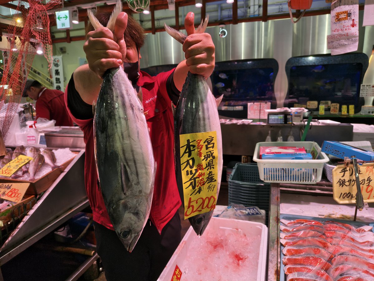 本日のオススメはまずは本ガツオ！鮮魚スタッフも︎︎👍なカツオです