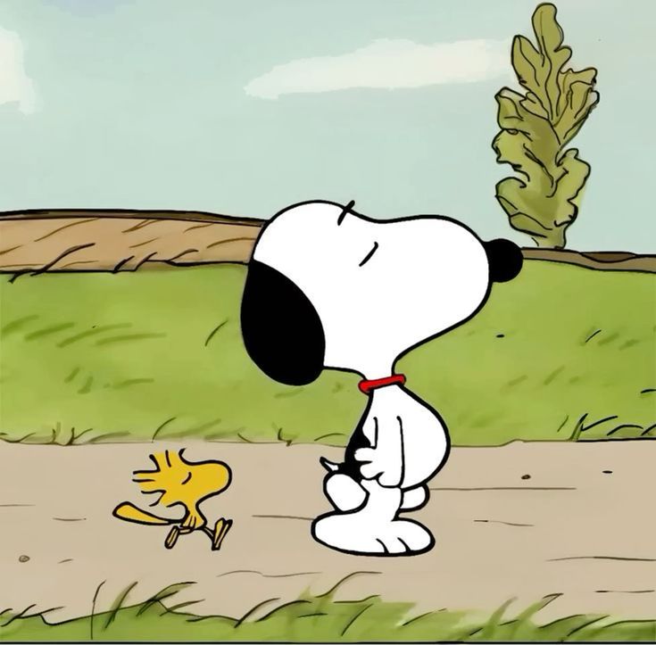 Woodstock tweet media