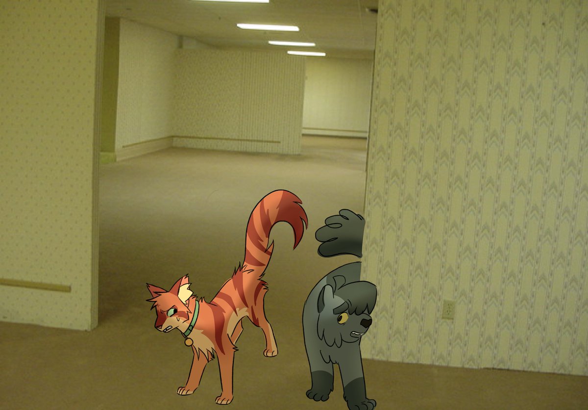 MeowzersOwO's tweet photo. Graypaw where the fuck are we https://t.co/jCMYvC9tZb