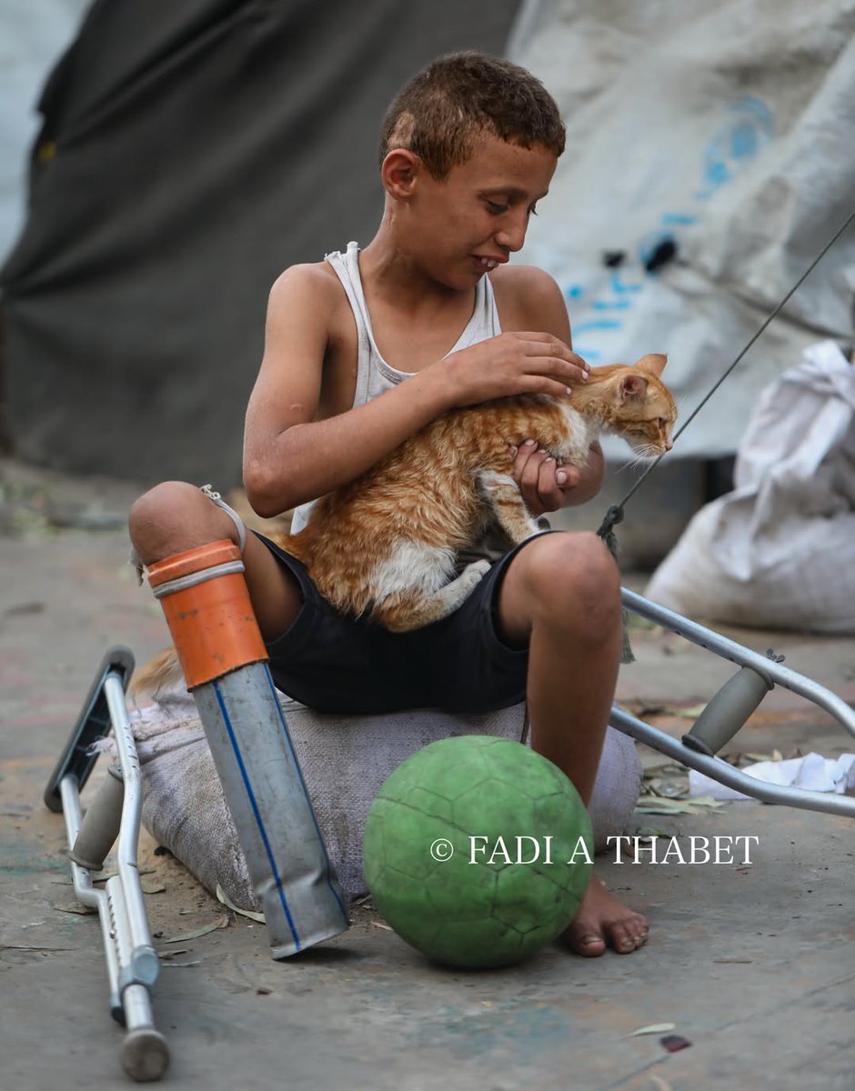 Ajmal_804's tweet photo. غزہ کے بچوں کیلئے آواز اٹھاتے رہیں.🇵🇸 https://t.co/wBplD5MvdF