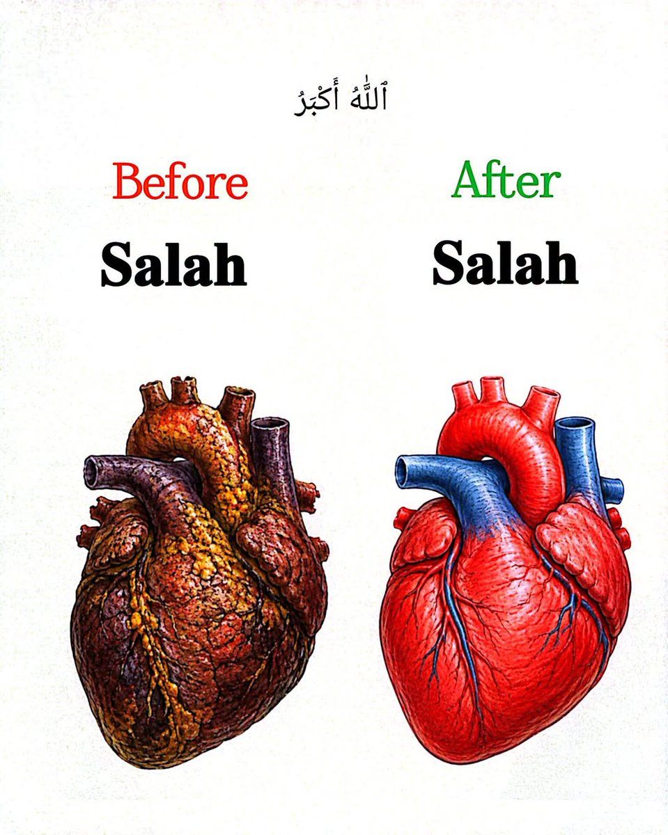AllahGreatQuran's tweet photo. Allahu’Akbar 🤍♥️ https://t.co/sCC9HRTi4C