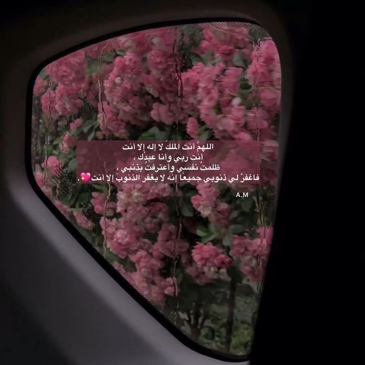ill2ie's tweet photo. https://t.co/qB2aq8VUSB