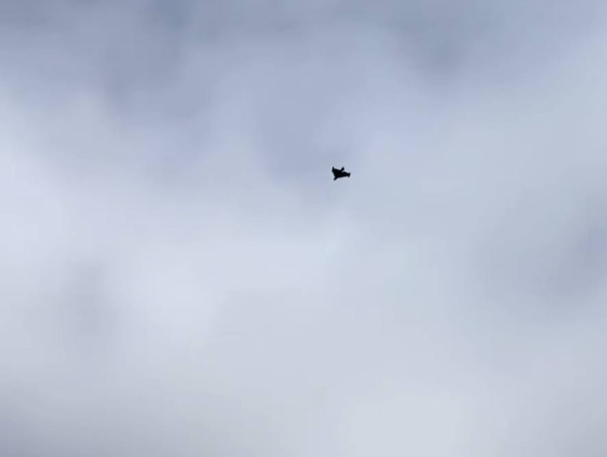 runews's tweet photo. During a morning assault, a formation of at least six Ukrainian kamikaze drones of the Geran type, designated #Sichen (January), flew sequentially toward the Moscow Oil Refinery.
The drone was first introduced in April 2026.
According to claims, the #Sichen carries a 40 kg warhead to a range of up to 1,400 km with a maximum speed of 200 km/h.
Ukraine employed virtually its full range of primary UAV systems against Moscow today