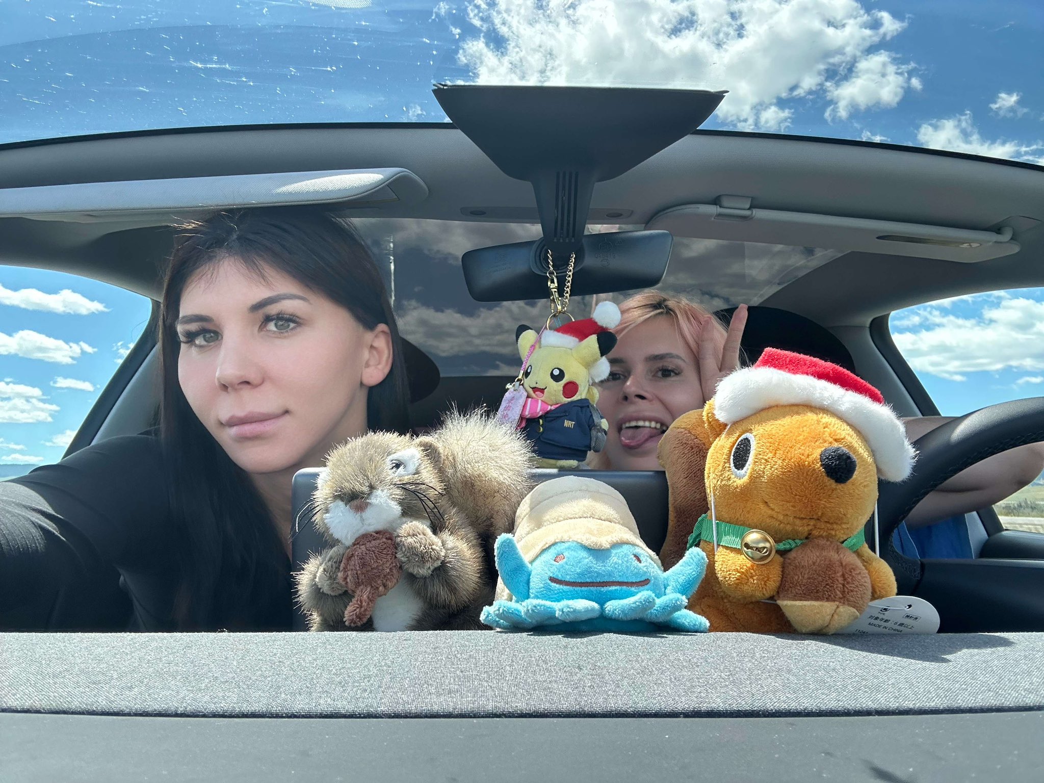 We enjoy our roads trips from the horseless, driverless, carriage that is a Tesla Model Y. @baileeparis https://t.co/lBnkG1xnoc