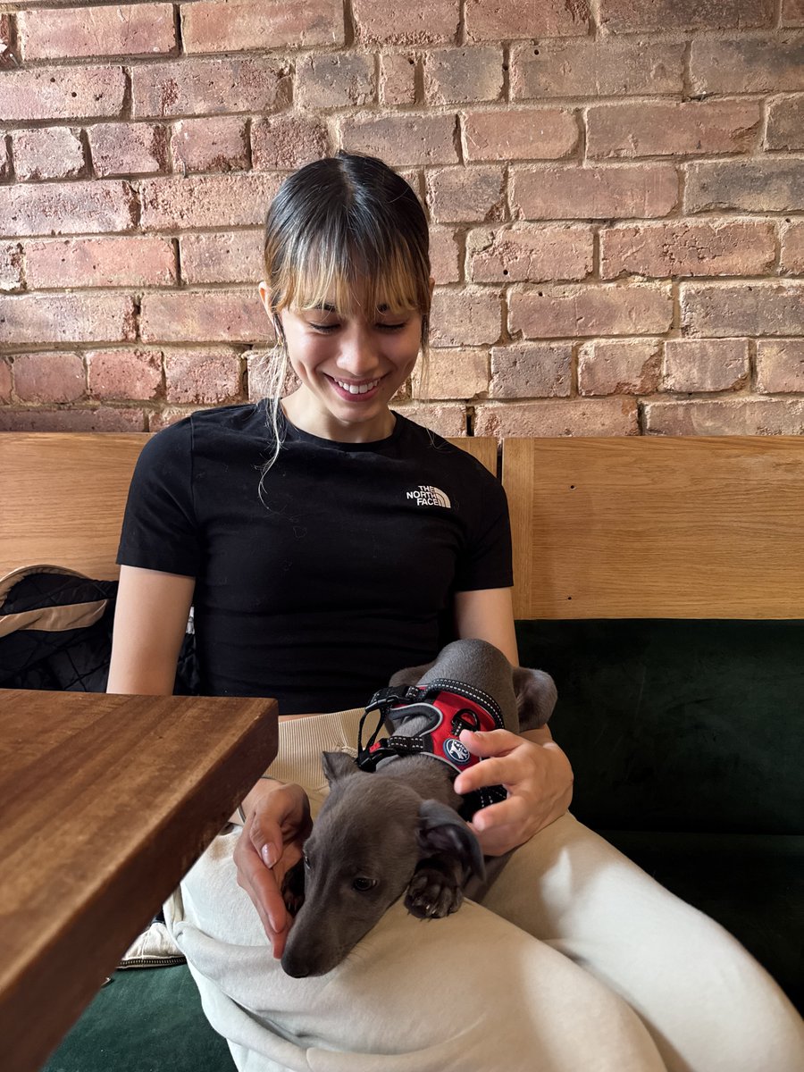 bbyraccoon_'s tweet photo. A guy at the cafe asked if I could look after his 9 week old puppy while he orders https://t.co/LaQ2n9YCLe