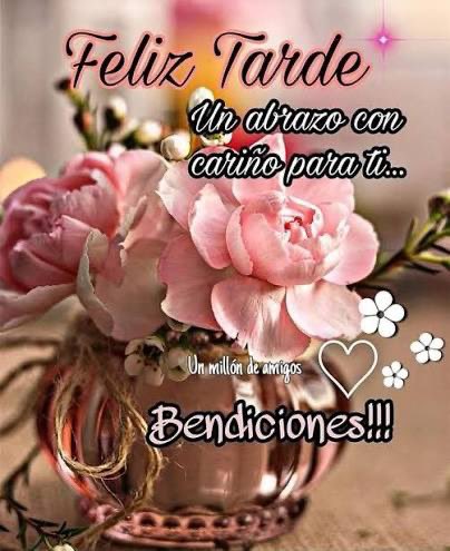 0Profesora2's tweet photo. @RoccoMarch https://t.co/72D2moROyP