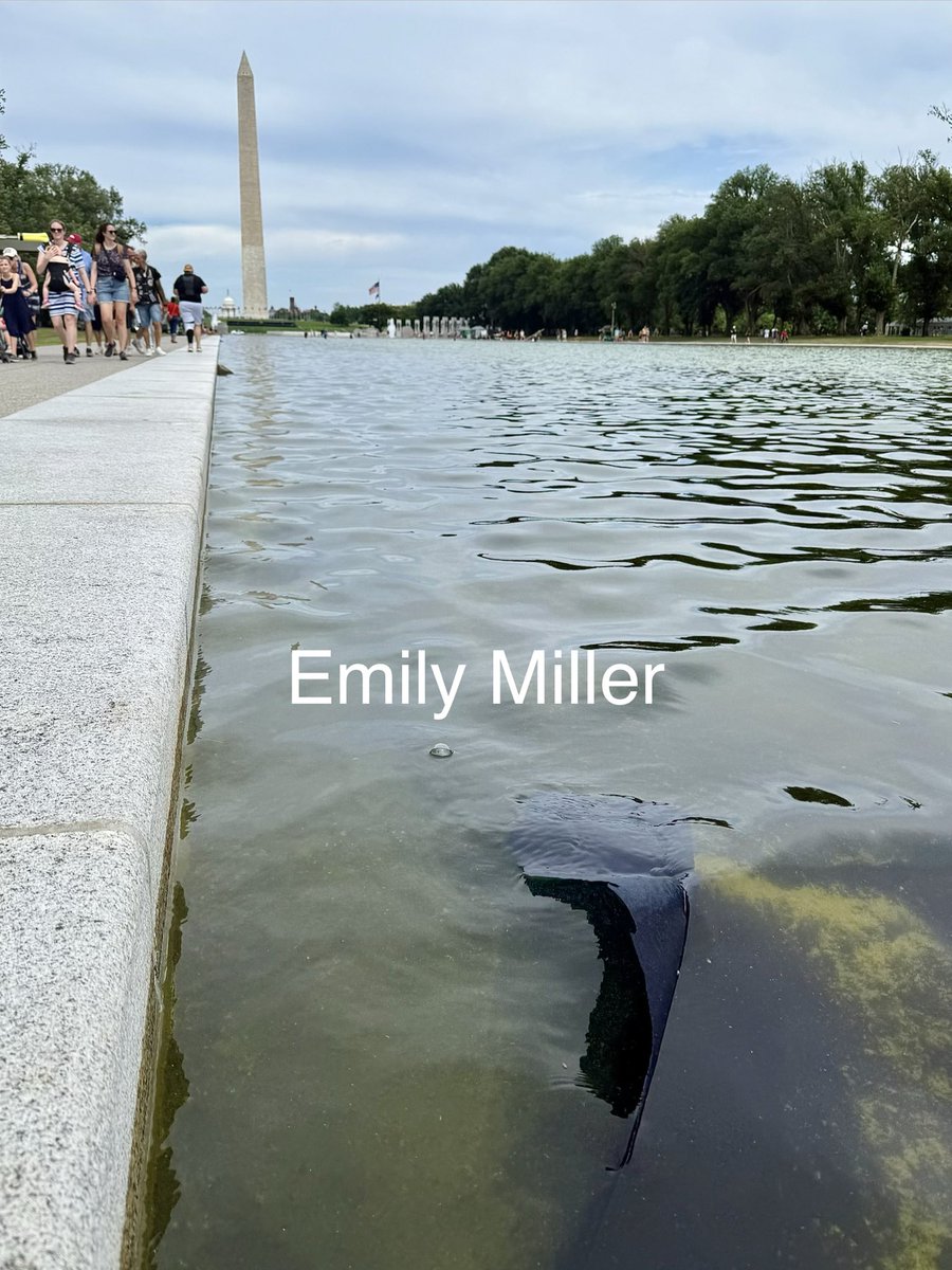 emily miller tweet media