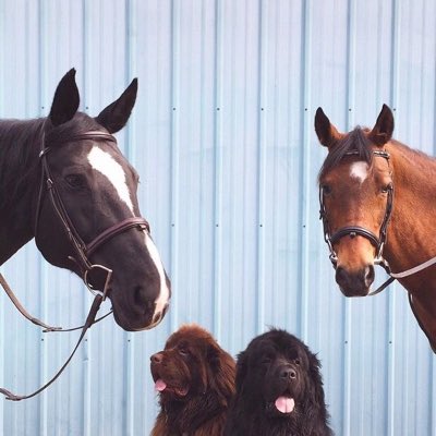 Veronicavfvr's tweet photo. #NewProfilePic https://t.co/omDhlqq8uU