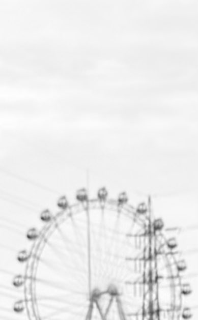 ノラ tweet media